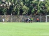 IMG_20250504_125852