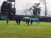 IMG_20250516_152254
